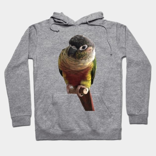 Green Cheek Conure Parrot Bird design, Love for birds Hoodie by TatianaLG